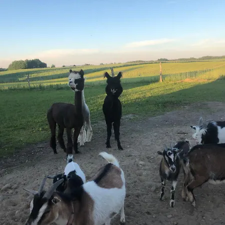 公寓 Malary Pogodki