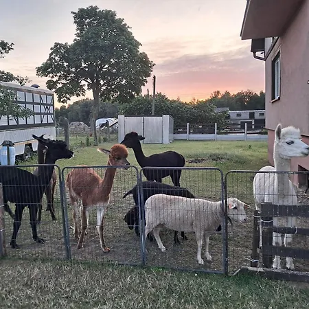 Malary Apartment Pogodki