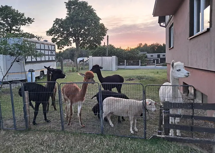 Malary 아파트 Pogodki